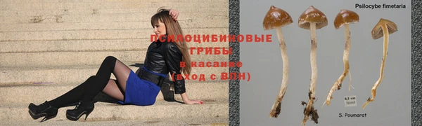 МДМА Вяземский