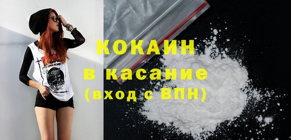 сатива Вязьма