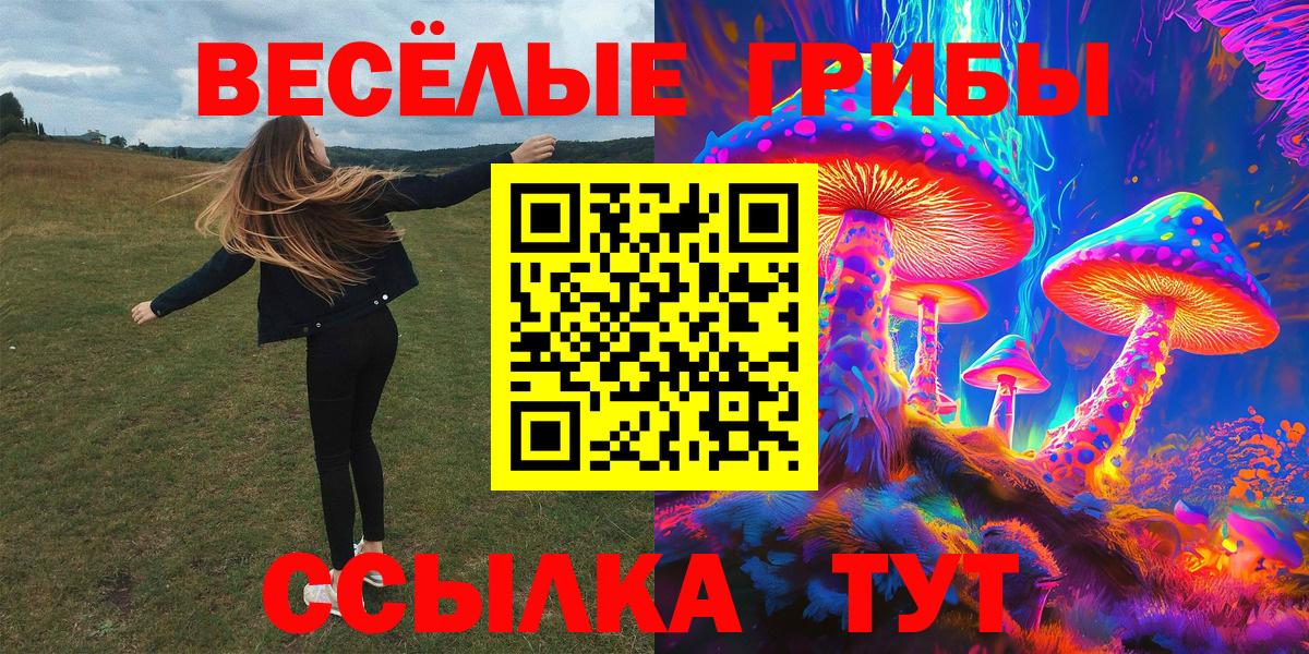 Галлюциногенные грибы GOLDEN TEACHER  Галлюциногенные грибы мицелий  Железноводск  Вход с VPN 