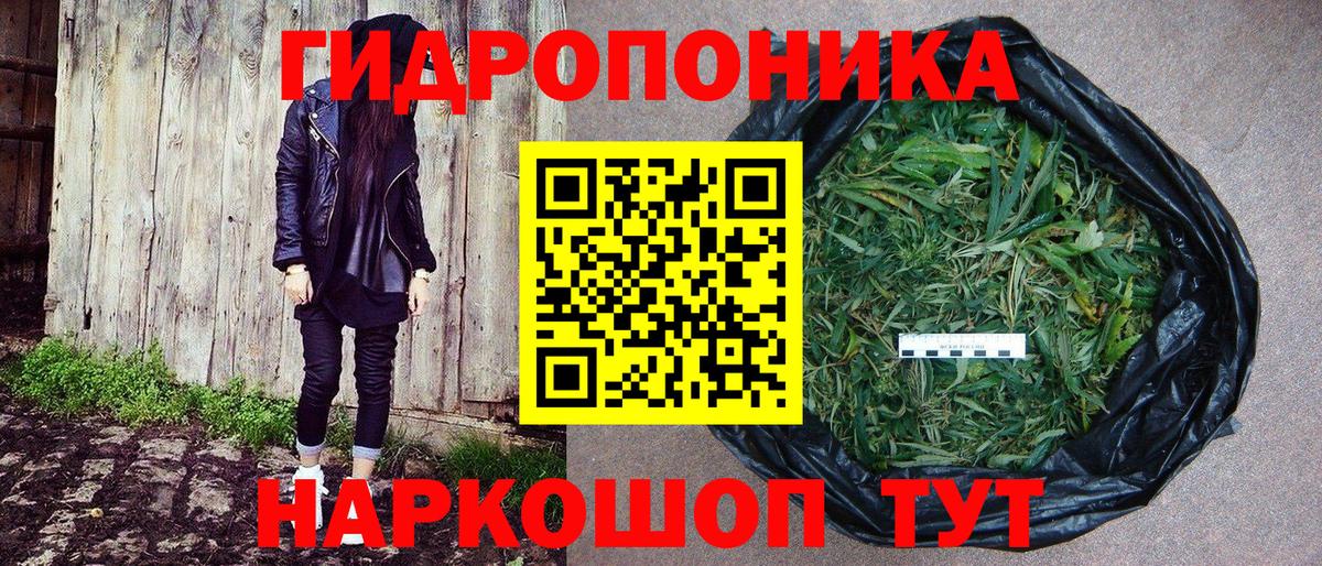 Каннабис тримм  Канабис White Widow  Железноводск  Вход с VPN  Бошки марихуана тримм 